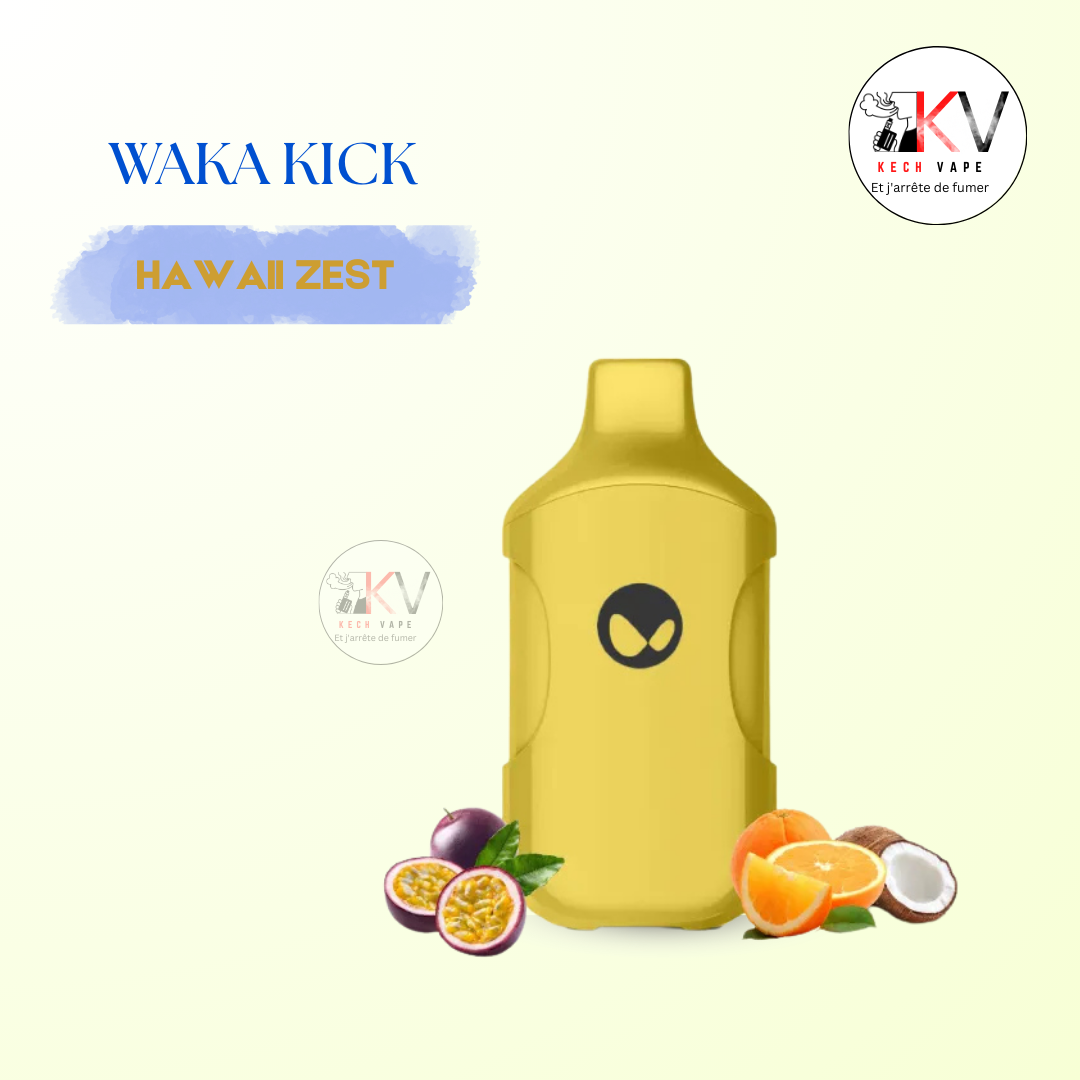 WAKA Kick Strawberry Kiwi 15000 Puffs Disposable Vape | KechVape Marrakech KECHVAPE WAKA Kick Strawberry Kiwi 15000 Puffs Disposable Vape | KechVape Marrakech KECHVAPE