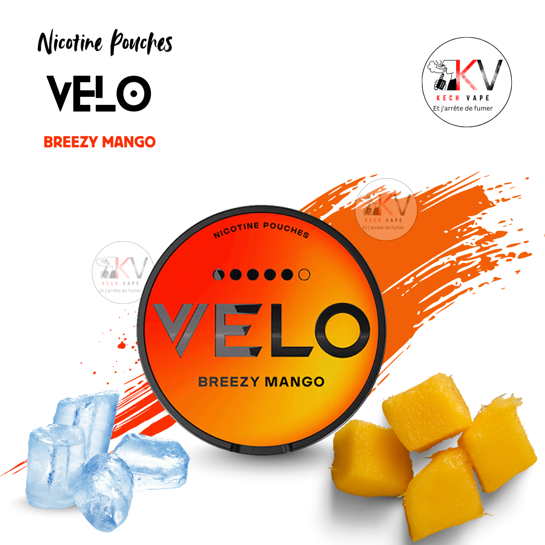 VELO Nicotine Pouches SNUS Sans Tabac – Saveurs Variées