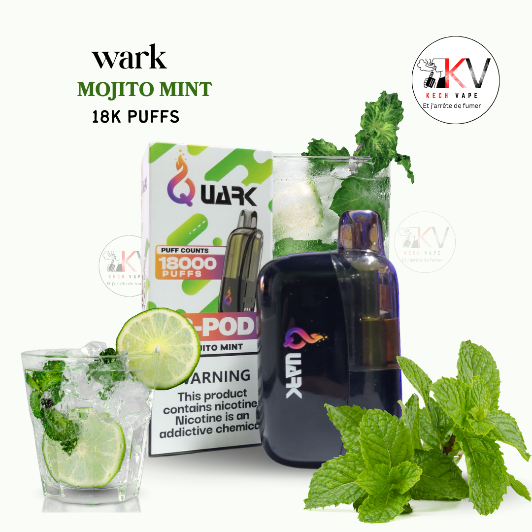 quark S-Pod 18 000 puffs MOJITO MINT