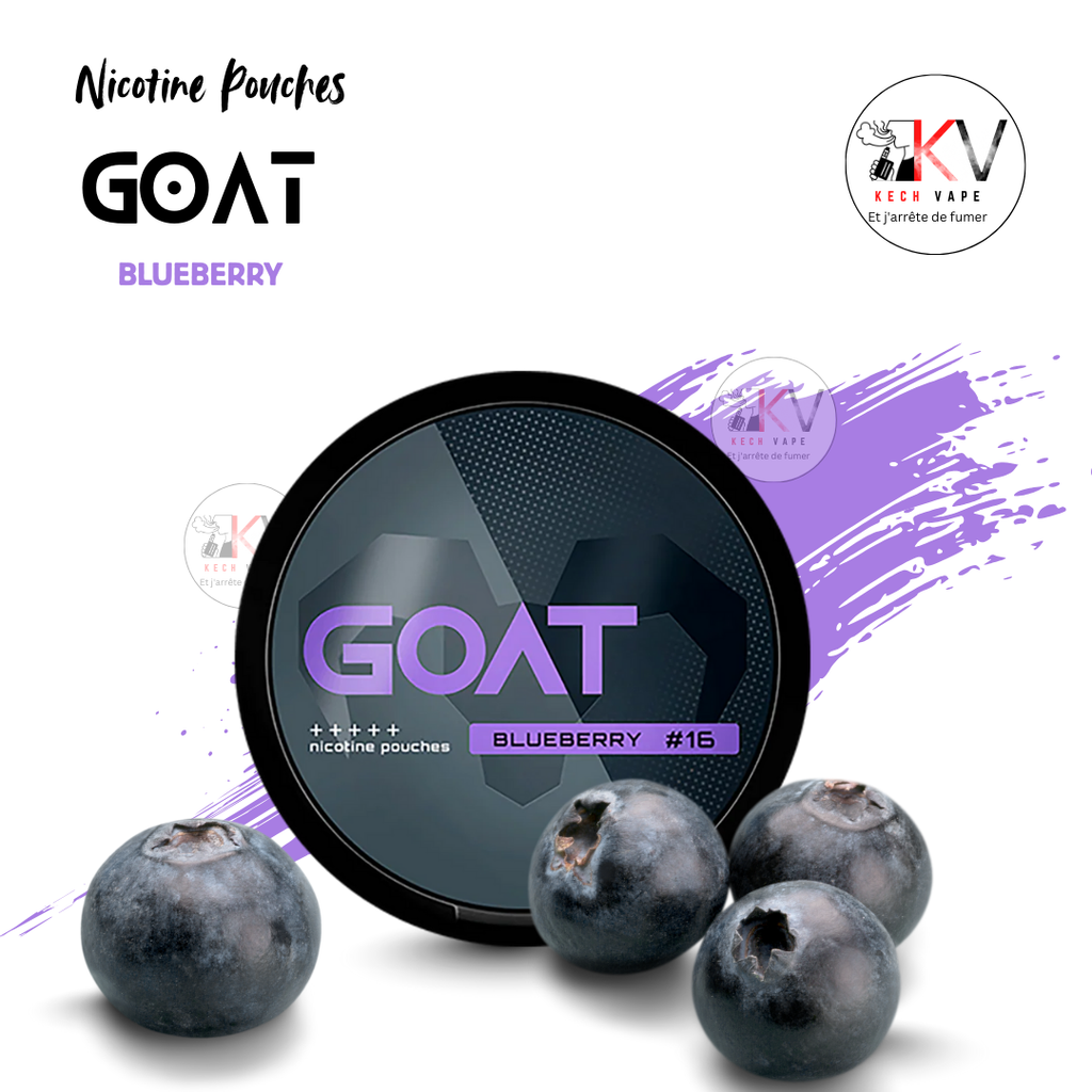 GOAT nicotine pouches BLUEBERRY – snus sans tabac - KECHVAPE