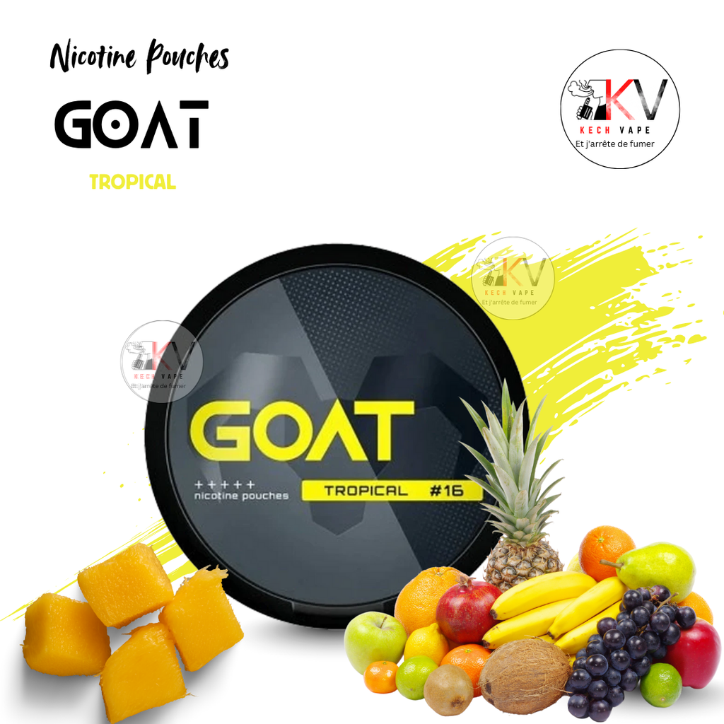 GOAT nicotine pouches TROPICAL – snus sans tabac - KECHVAPE