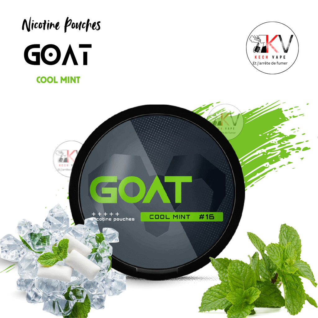 GOAT nicotine pouches COOL MINT  – snus sans tabac - KECHVAPE