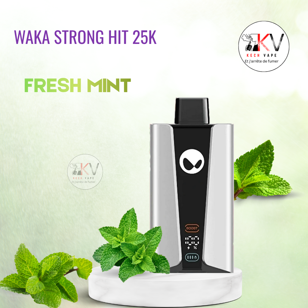WAKA Strong Hit 25K vape jetable saveur FRESH MINT – KechVape Marrakech