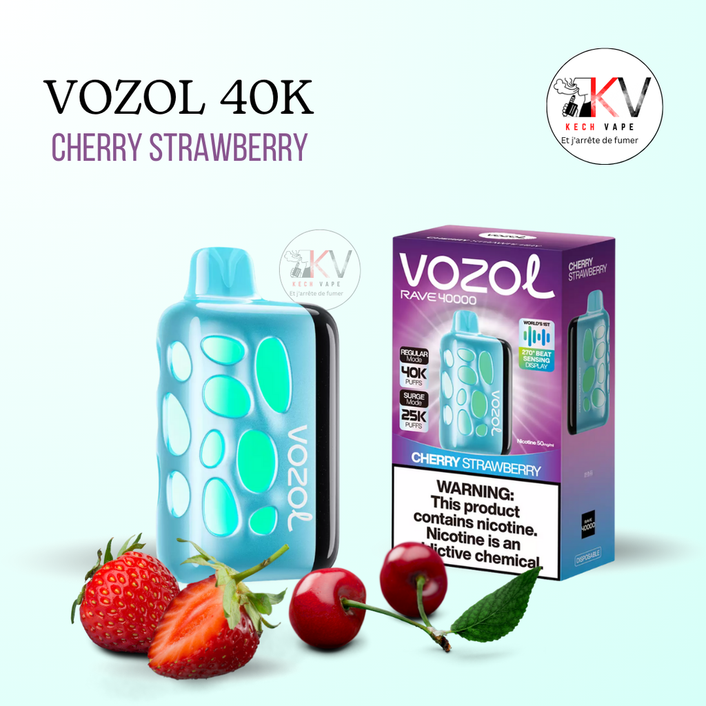 VOZOOL Rave -40K PUFFS