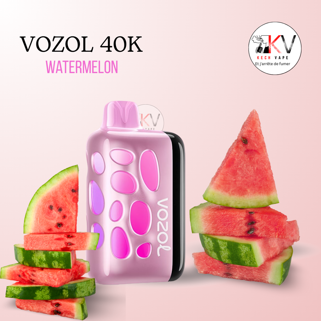 VOZOOL Rave -40K PUFFS