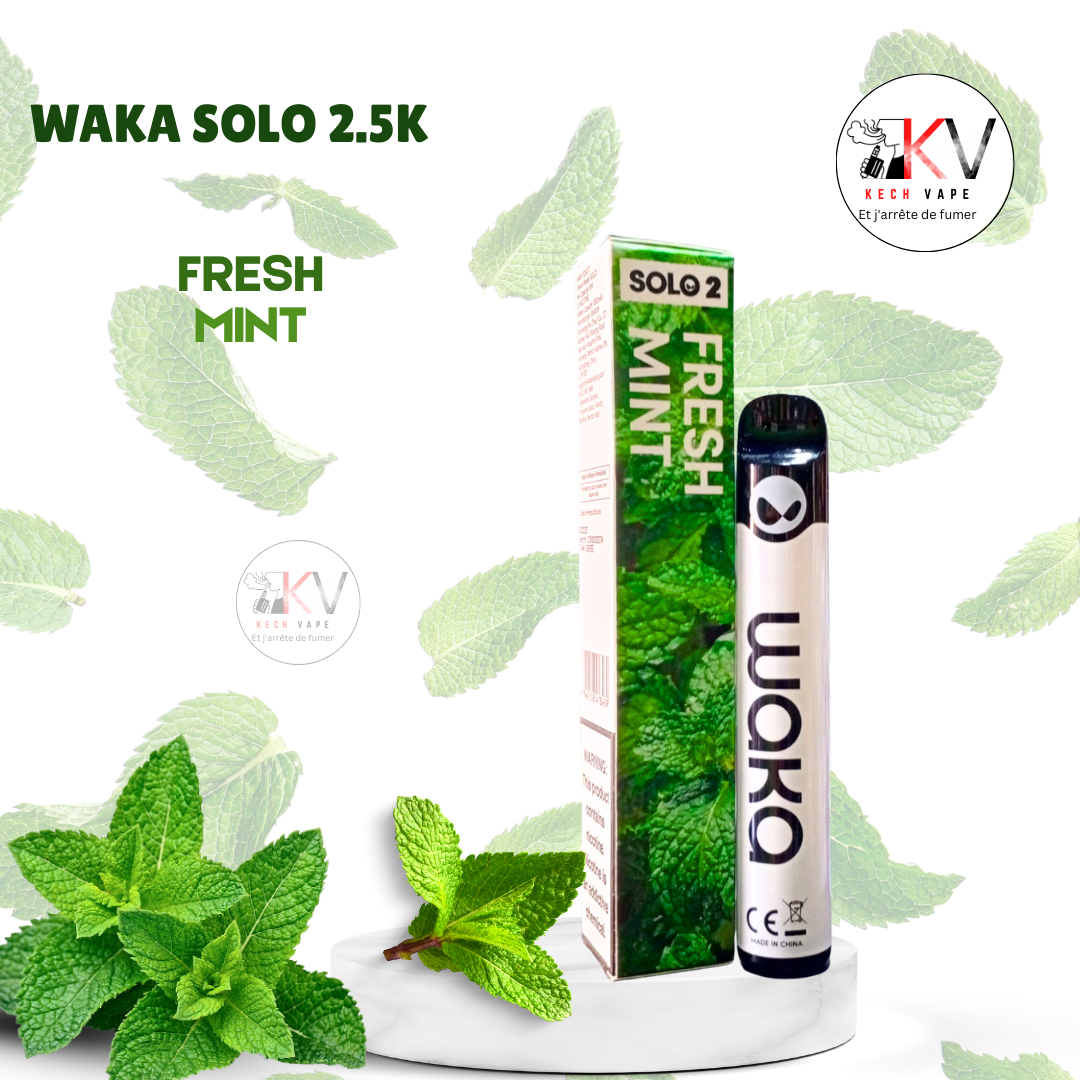 WAKA SOLO 2.5K vape jetable saveur fresh mint – KechVape Marrakech